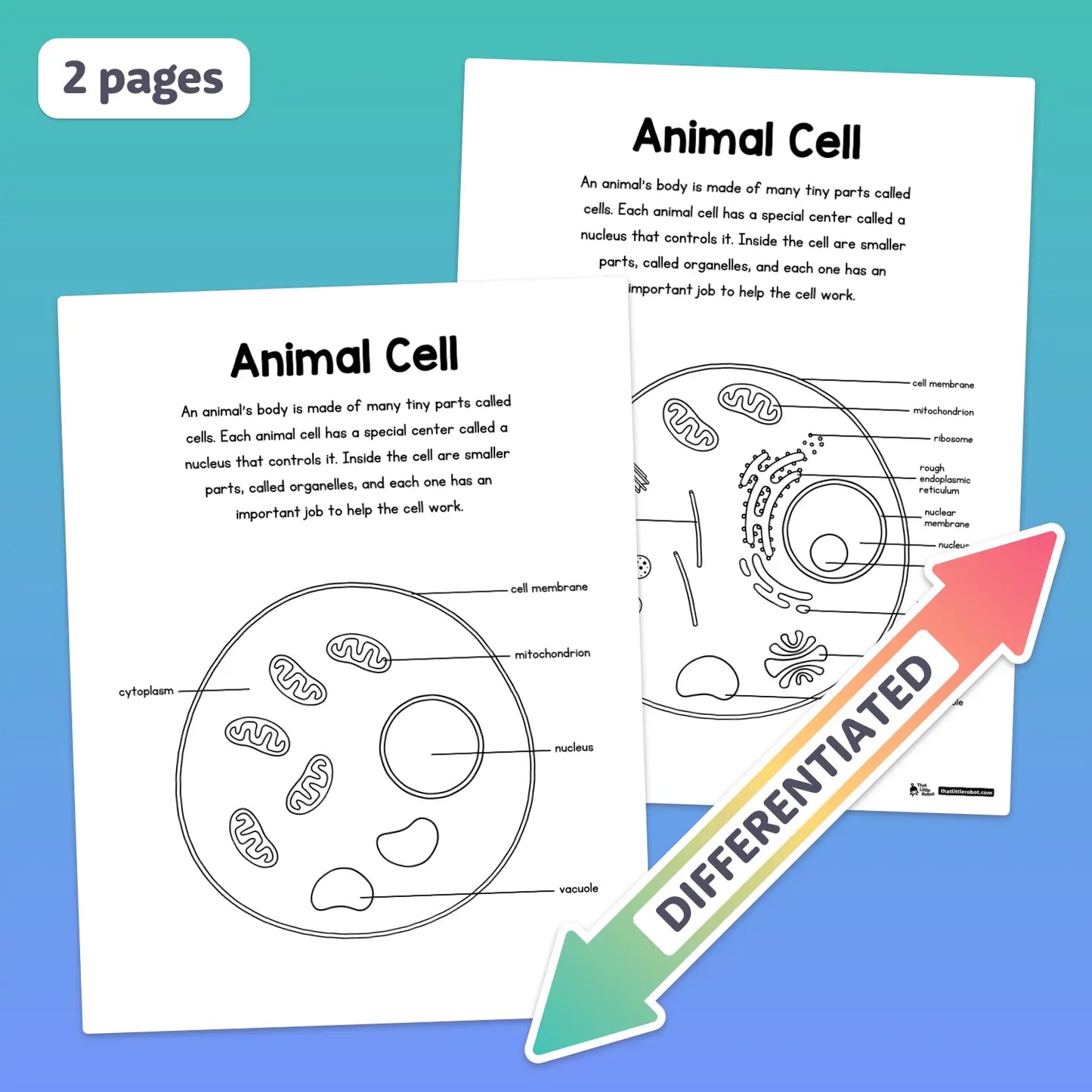 Animal and plant cell worksheets with diagrams and fill-in-the-blank sections.