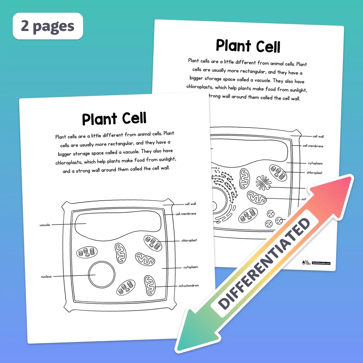 Screenshot displays printable worksheets for animal and plant cell diagrams.