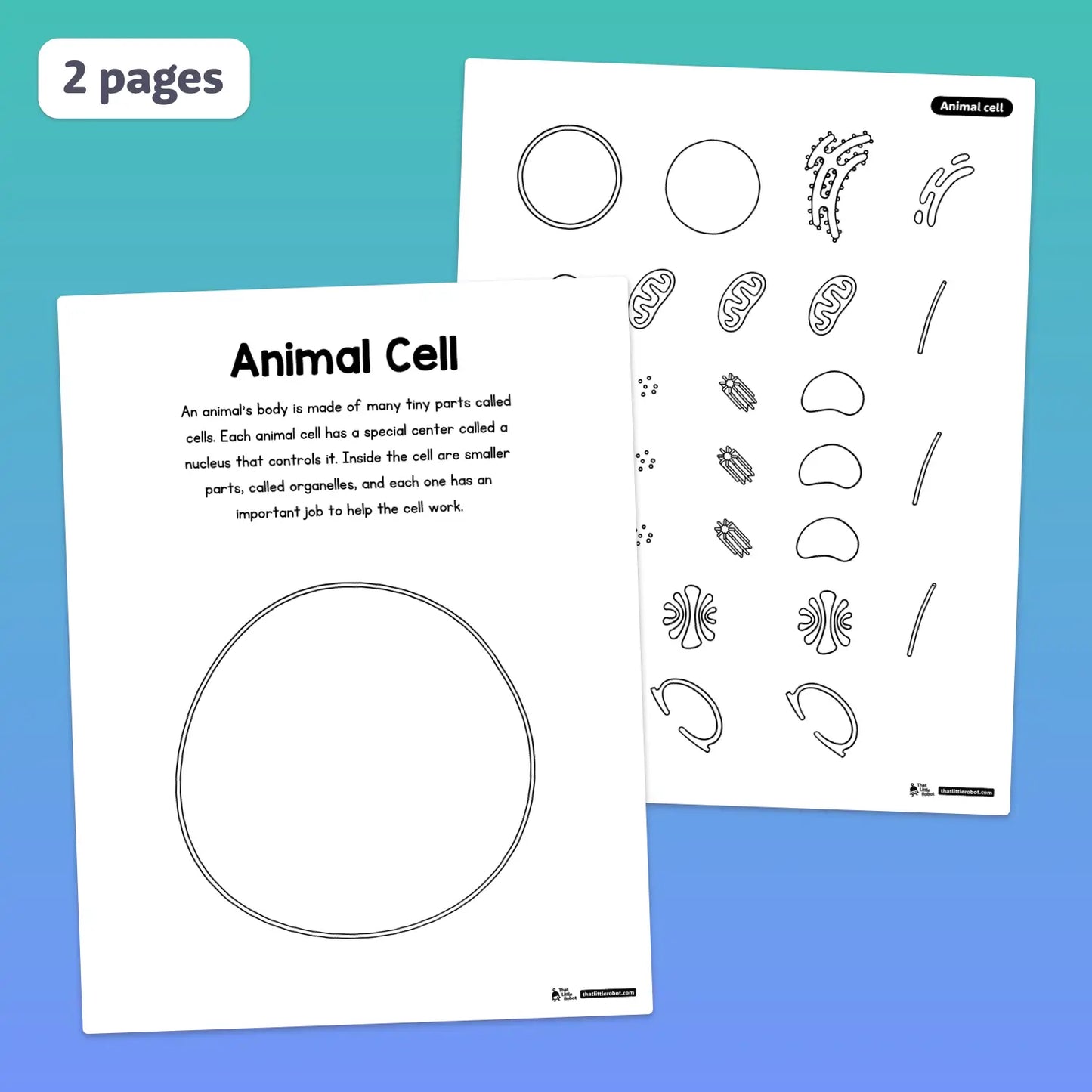 Printable animal and plant cell worksheets with labeled diagrams.
