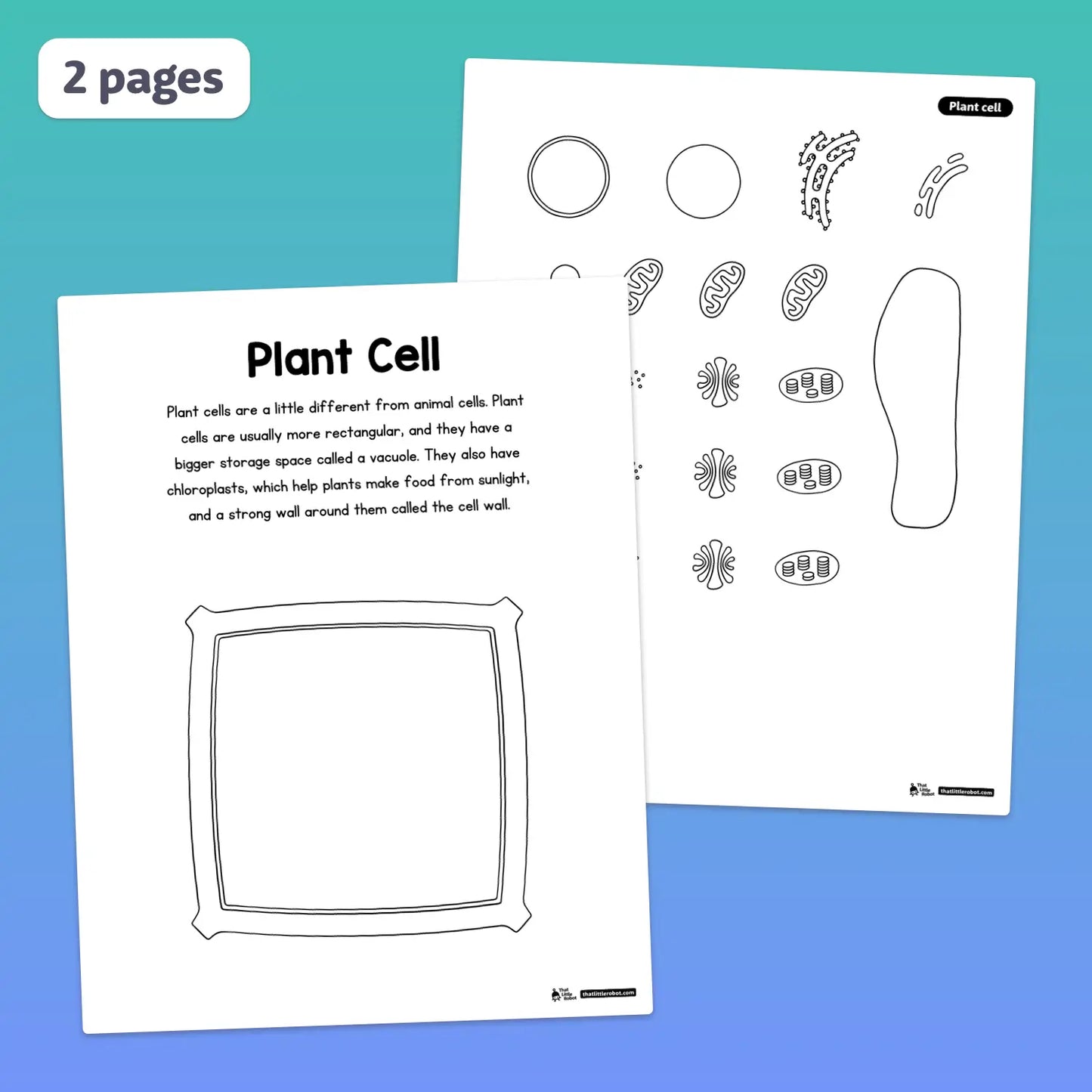 Animal and plant cell diagrams with labeled organelle outlines on handouts.