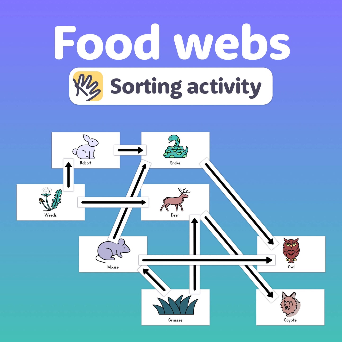 Diagram showing animals and plants for food web sorting activity.