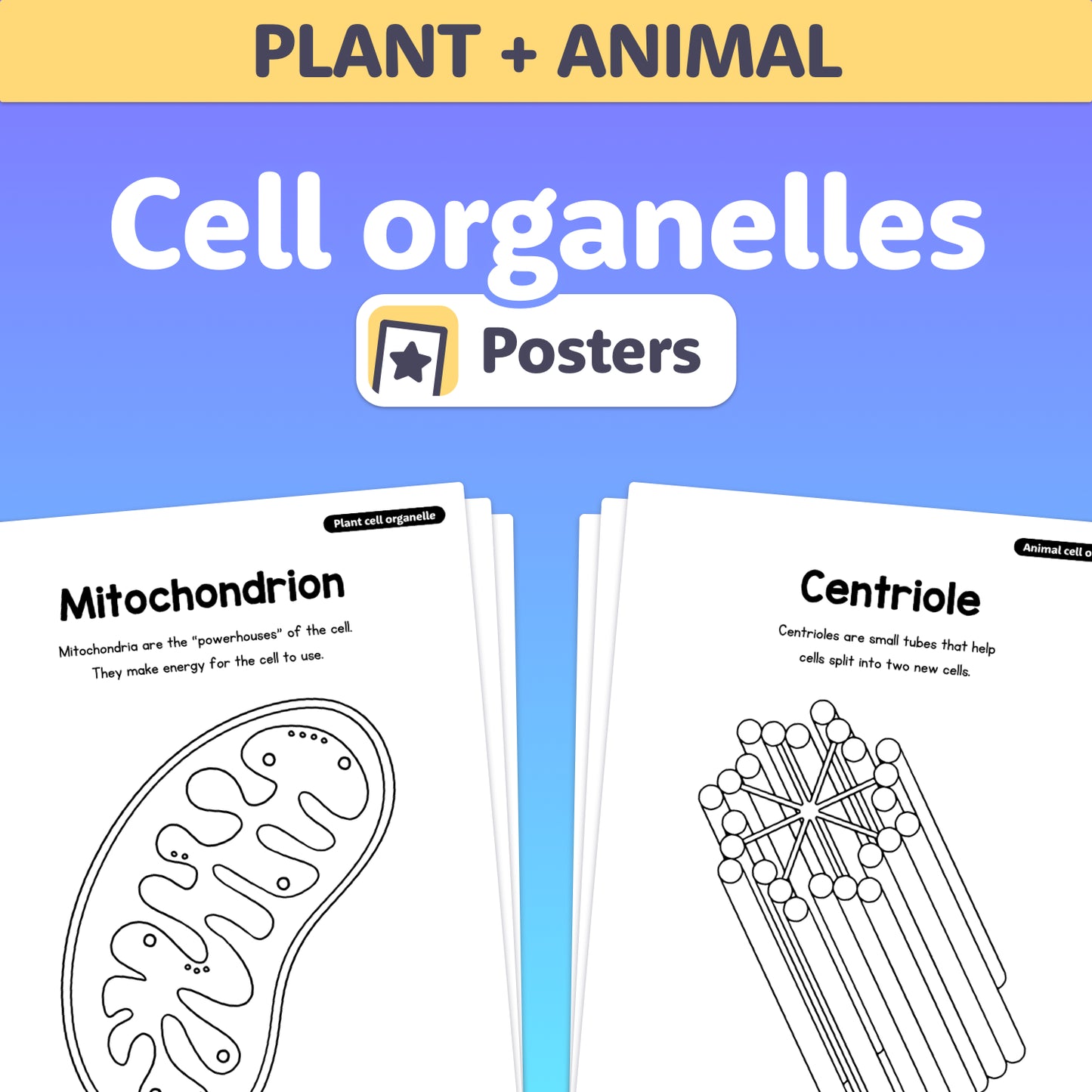 Diagrams of a mitochondrion and a centriole with labeling.