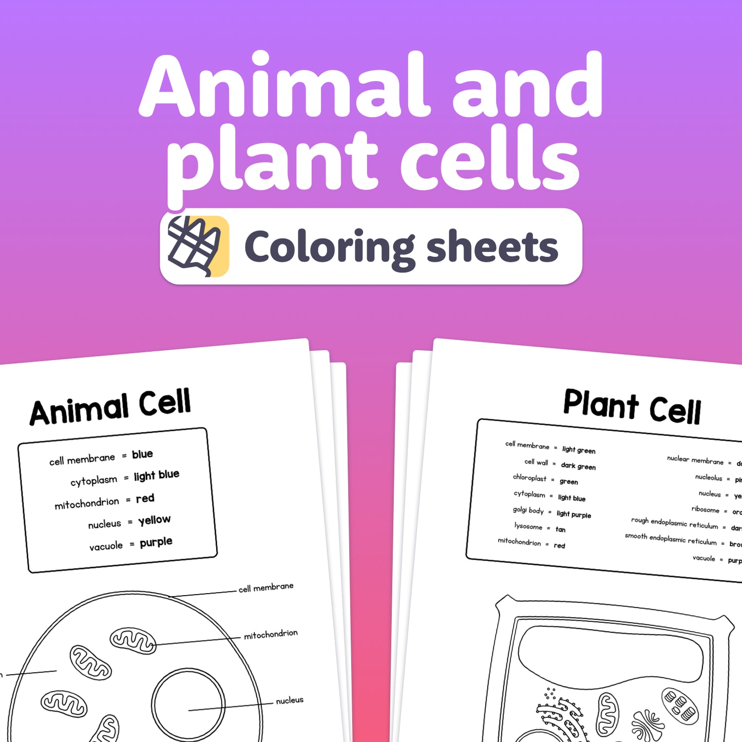 Labeled animal and plant cell diagrams shown as black and white coloring sheets.