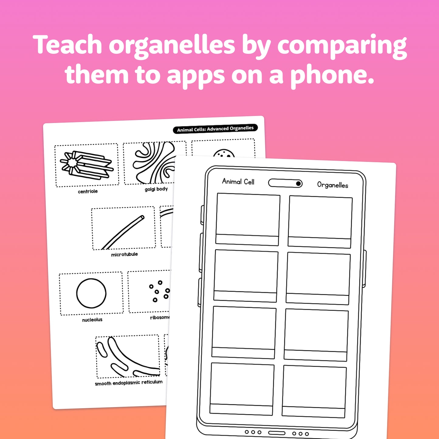 Worksheet and chart with organelle names and matching phone app icons.