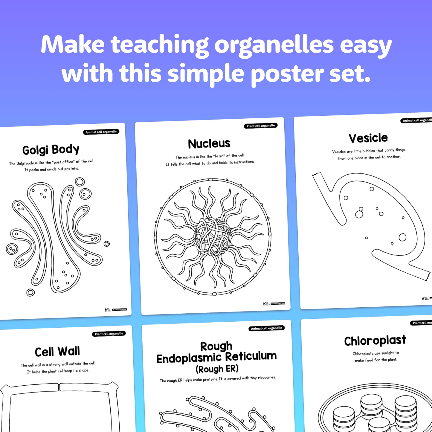 Six illustrated sheets display organelles with short descriptions on each page.