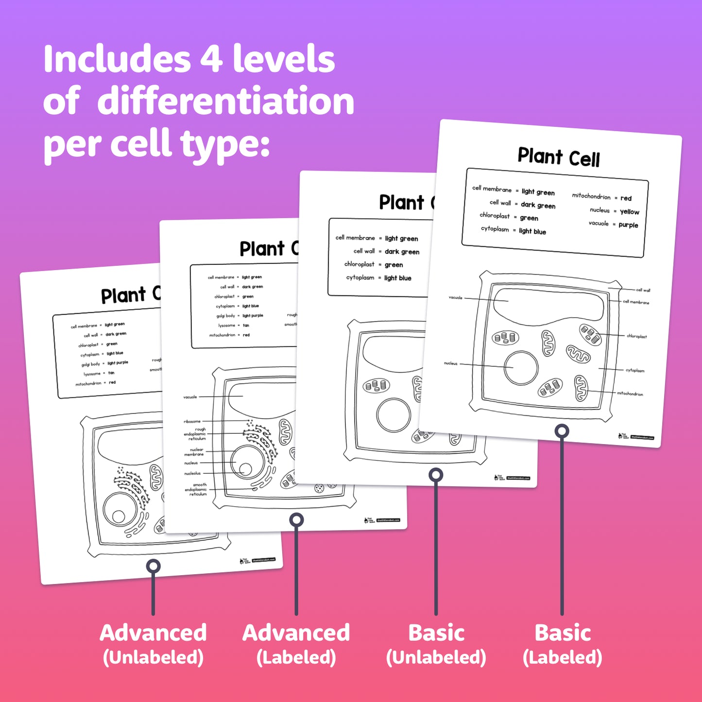 Four worksheets show animal and plant cells with varying levels of labeling.