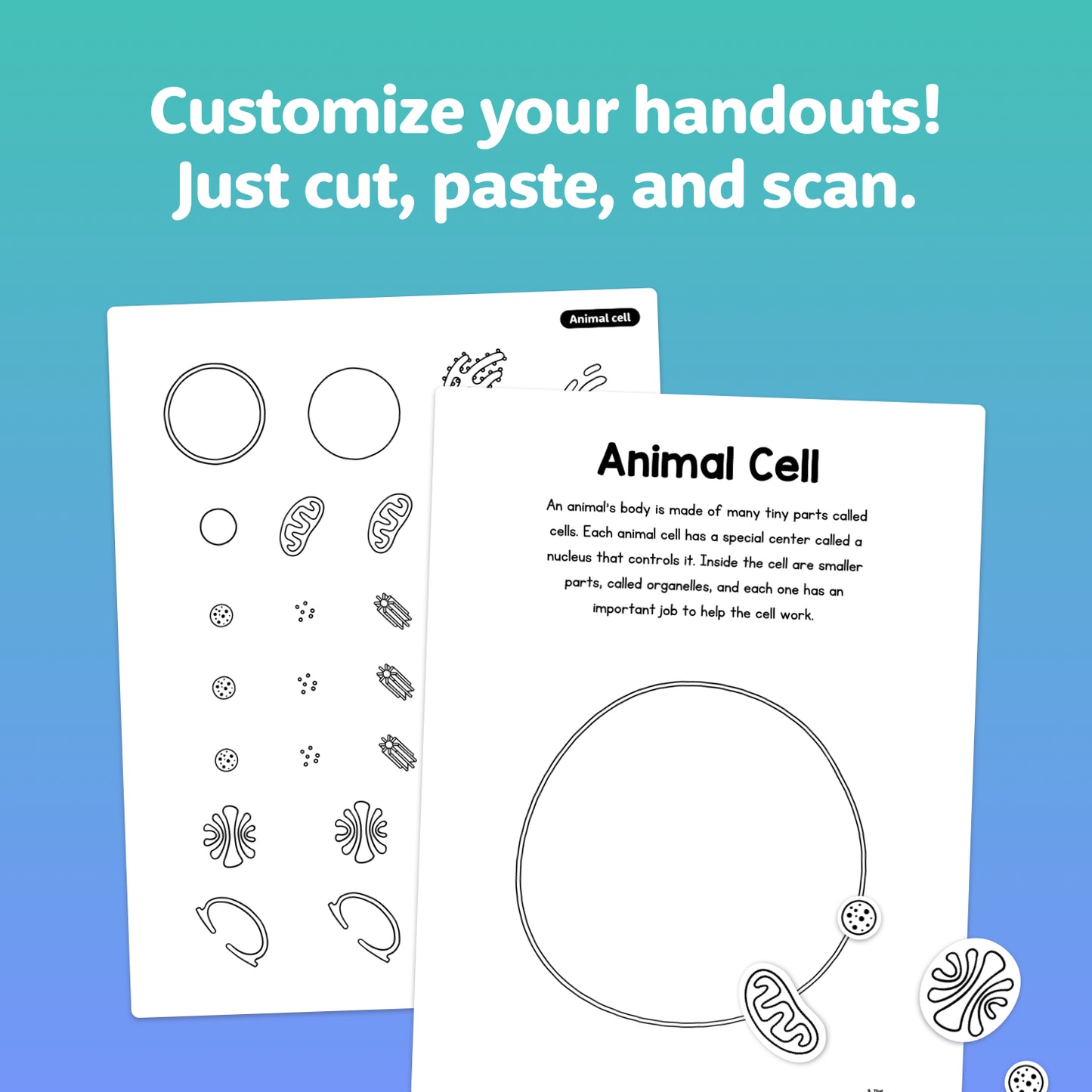 Printable worksheets showing animal and plant cells with simple instructions.
