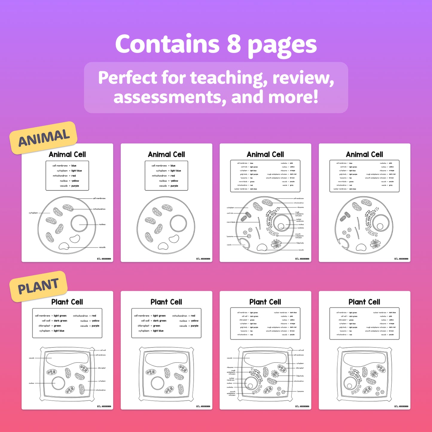 Eight labeled animal and plant cell worksheet diagrams in preview layout.