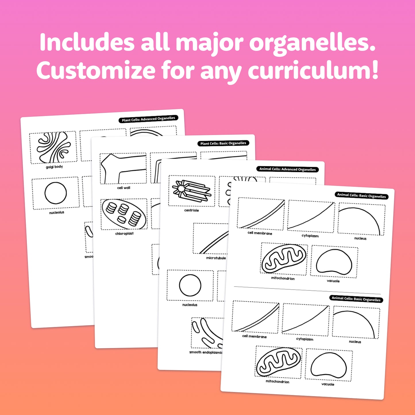 Four worksheets each display diagrams of different cell organelles.