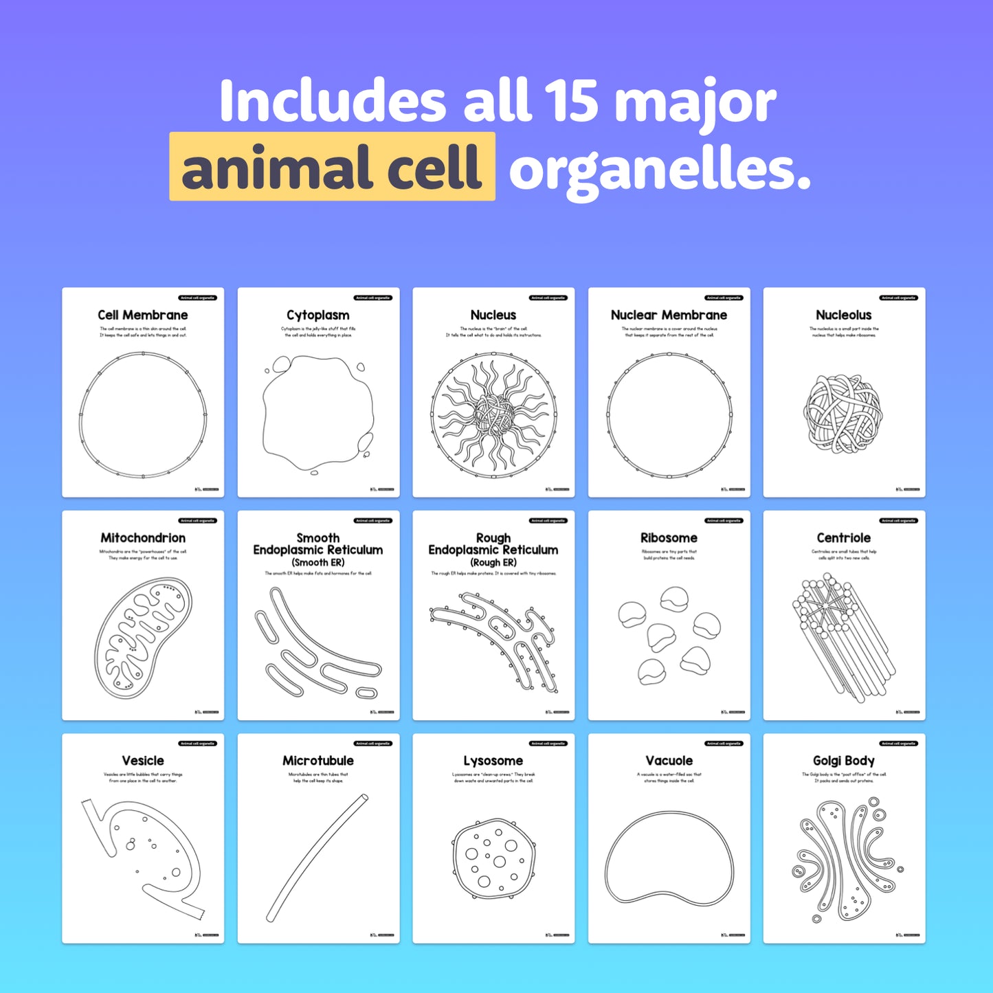 Fifteen labeled diagrams of cell organelles arranged in a neat group.