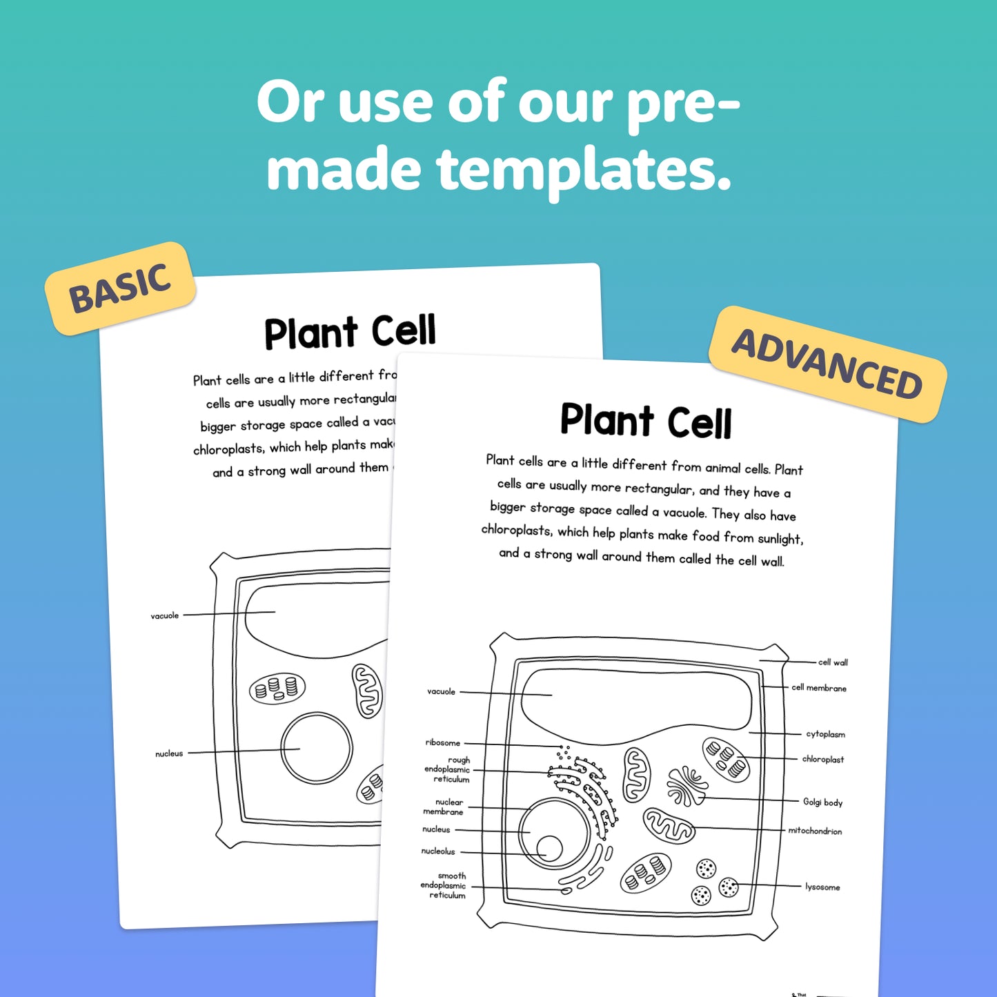 Printable worksheets of animal and plant cells, basic and advanced layouts shown.
