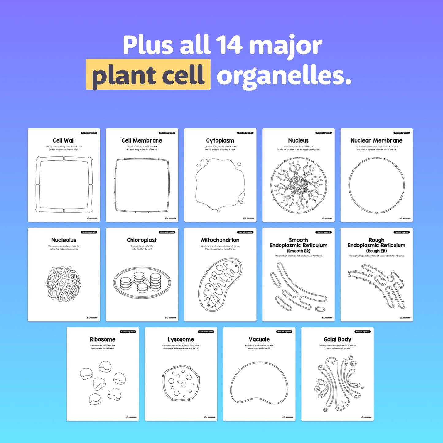 Fourteen plant cell organelles are shown with individual labeled illustrations.