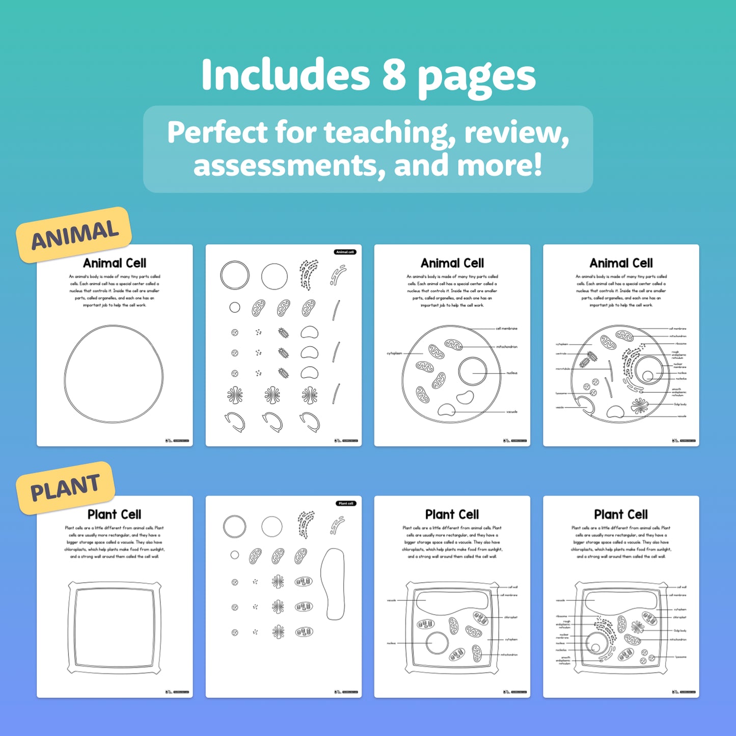 Eight editable worksheets showing diagrams of animal and plant cells.