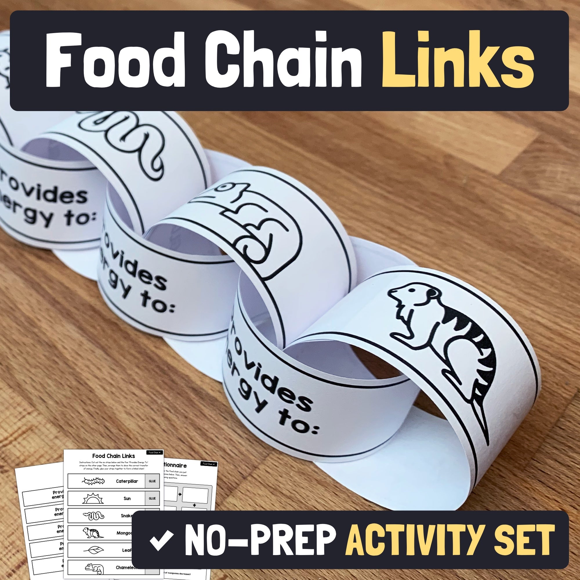 Food Chain Links Activities Printable PDF That Little Robot food-chain-links-activities-printable-pdf-that-little-robot