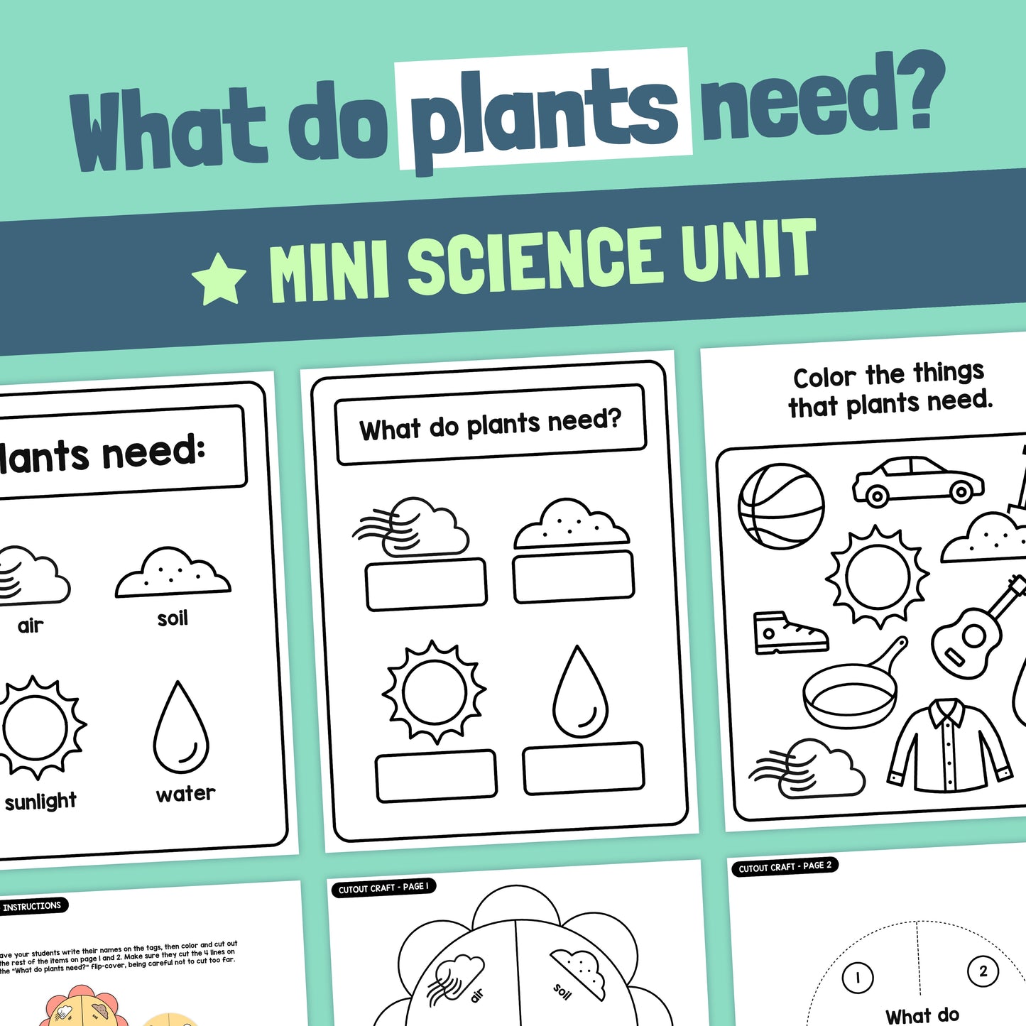 Printable PDF worksheet with educational activities about plant needs.