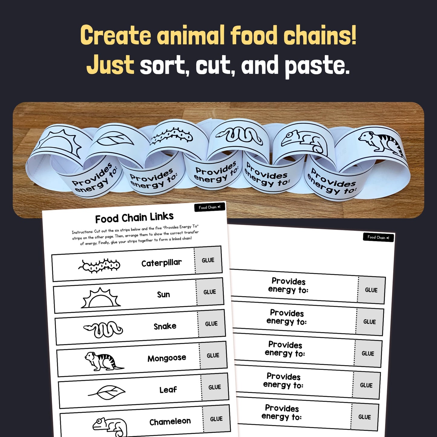 Printable food chain activity