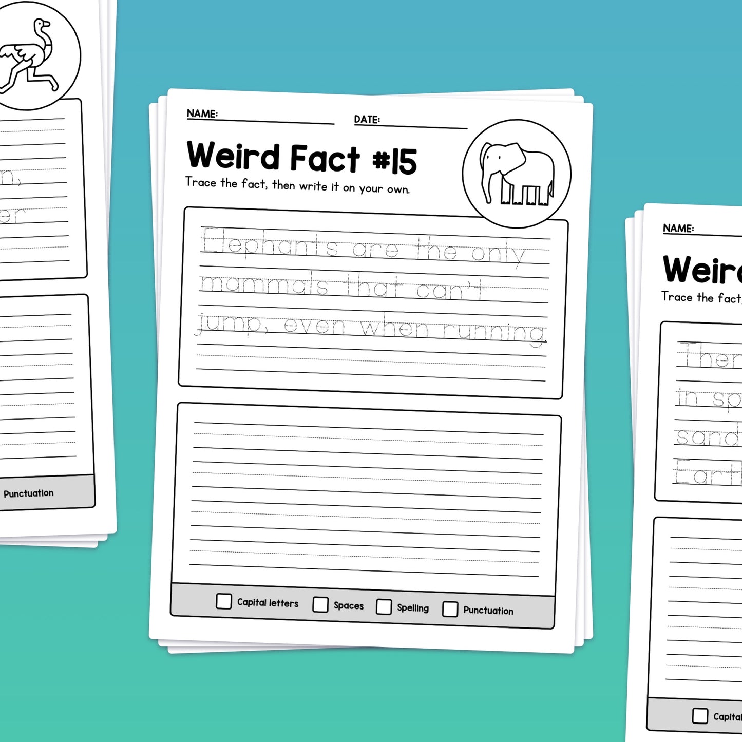 Handwriting worksheet with text about elephants and space for writing.