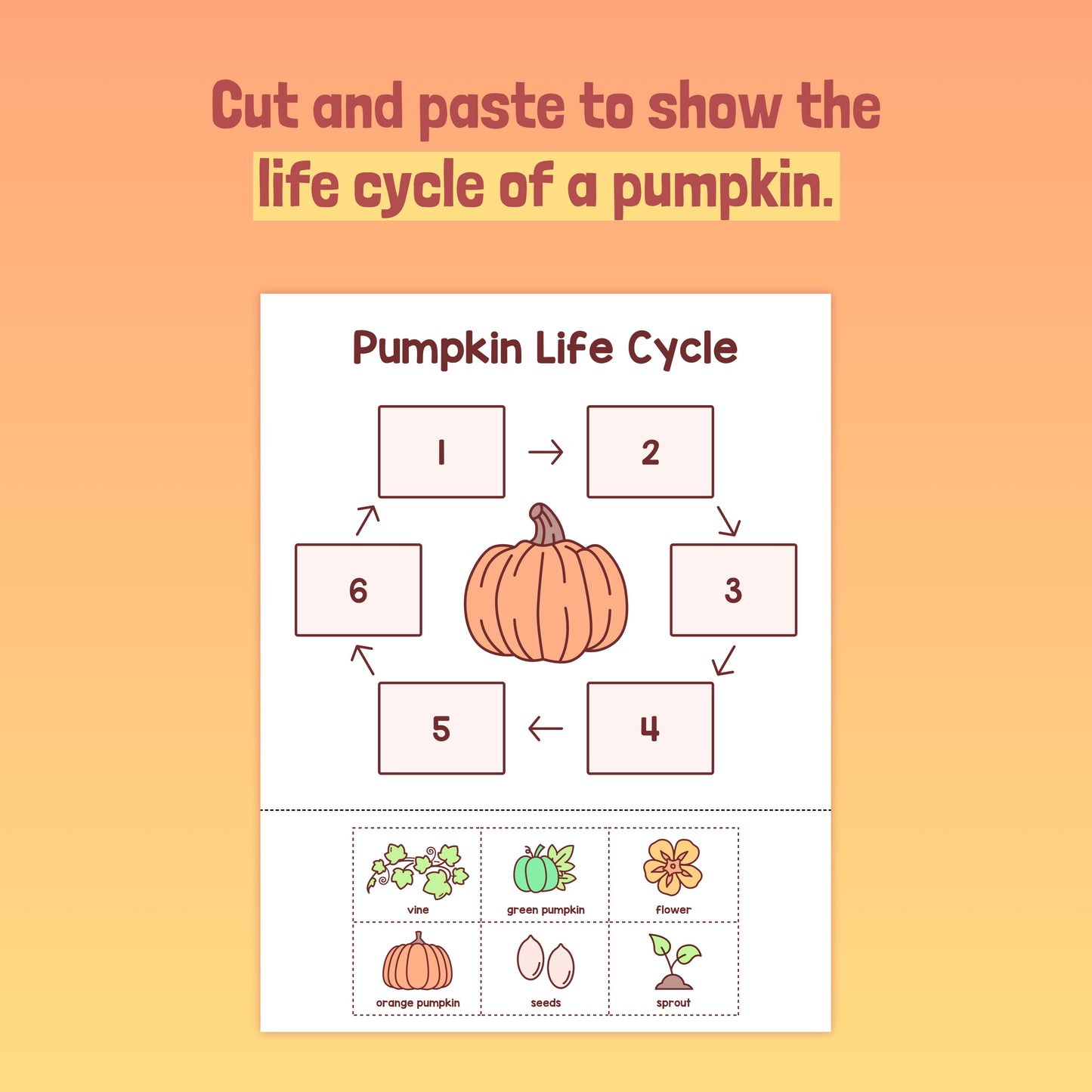 Pumpkin life cycle worksheet with cut-and-paste activity, six steps, and labels.