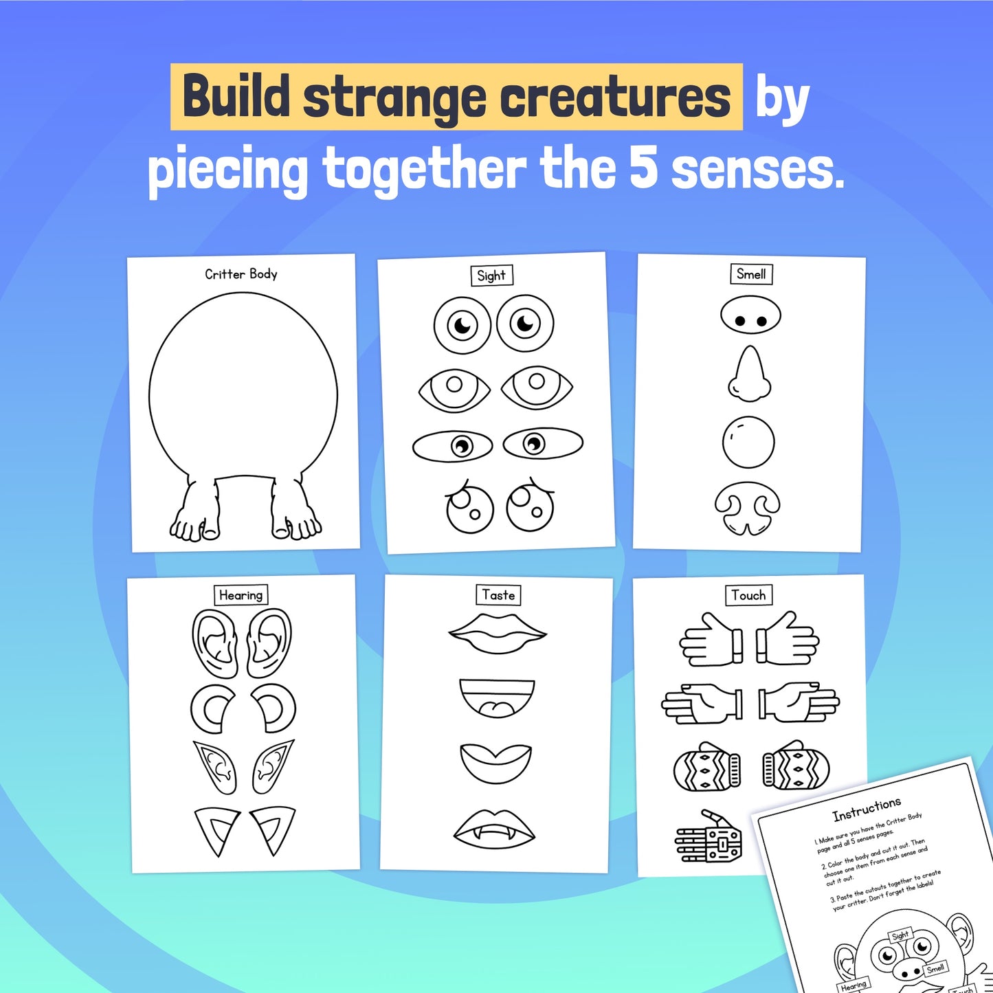 kindergarten, 1st grade, and 2nd grade science project: the 5 senses center