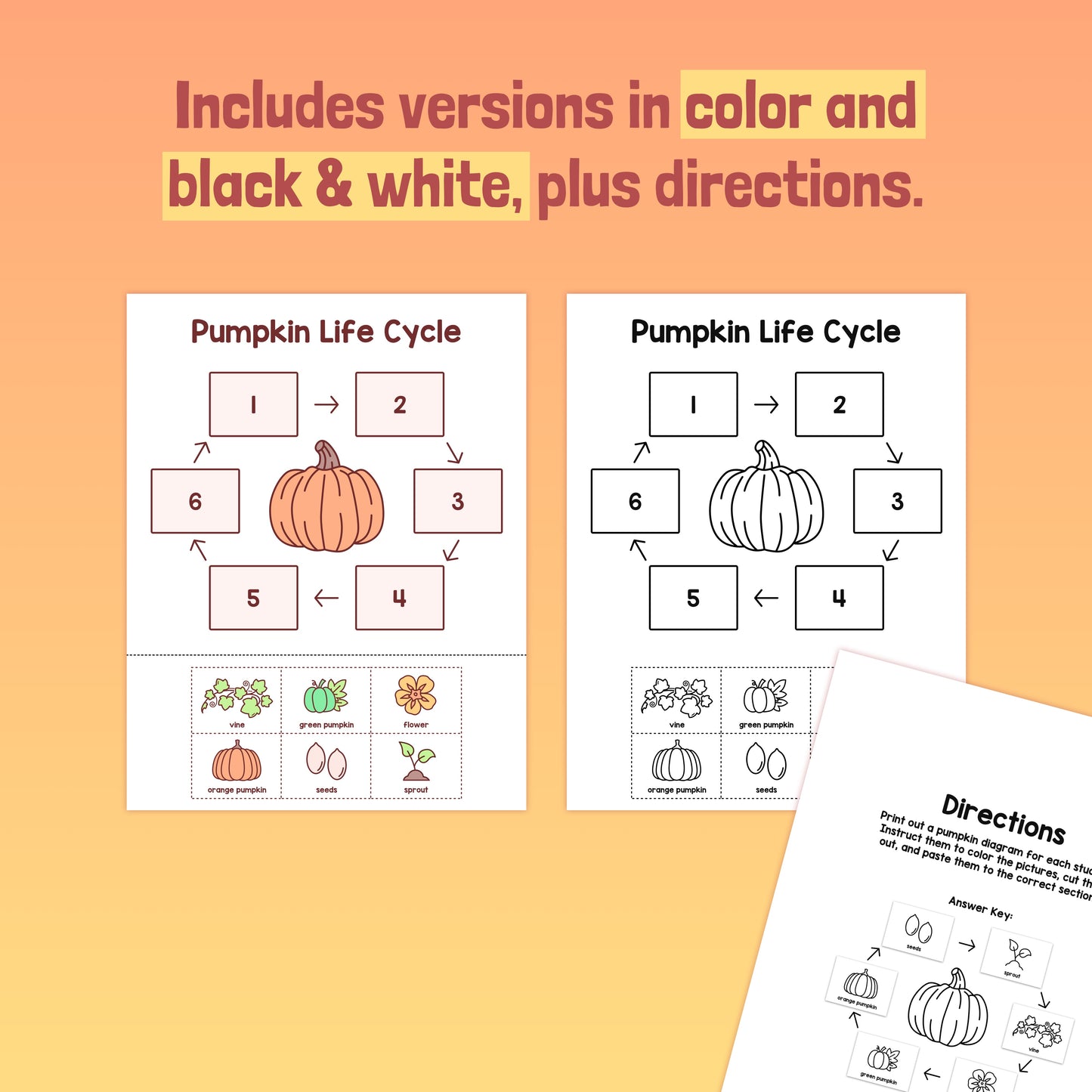 Printable PDF with Pumpkin Life Cycle Worksheet and included directions.