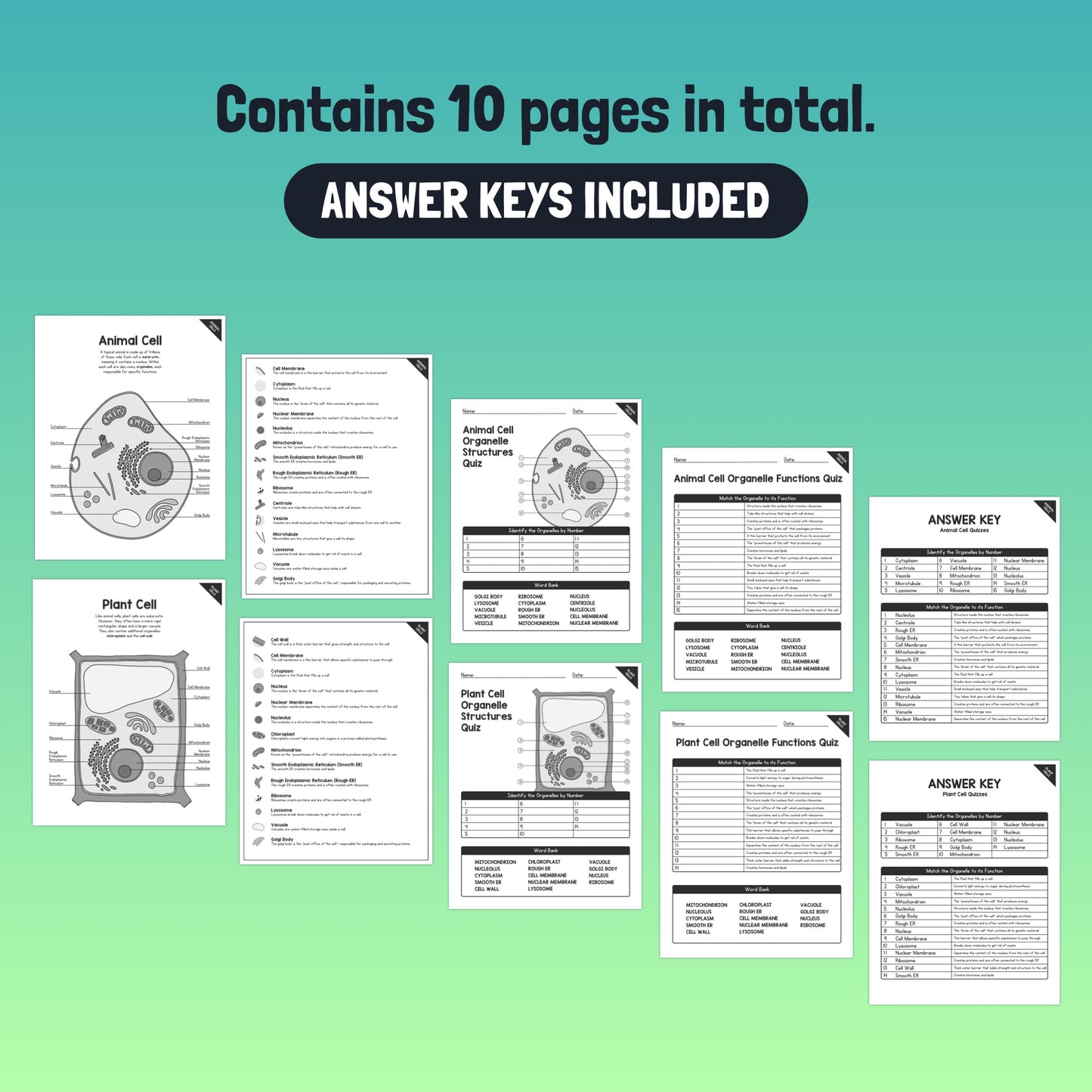 Animal and Plant cells posters and quizzes