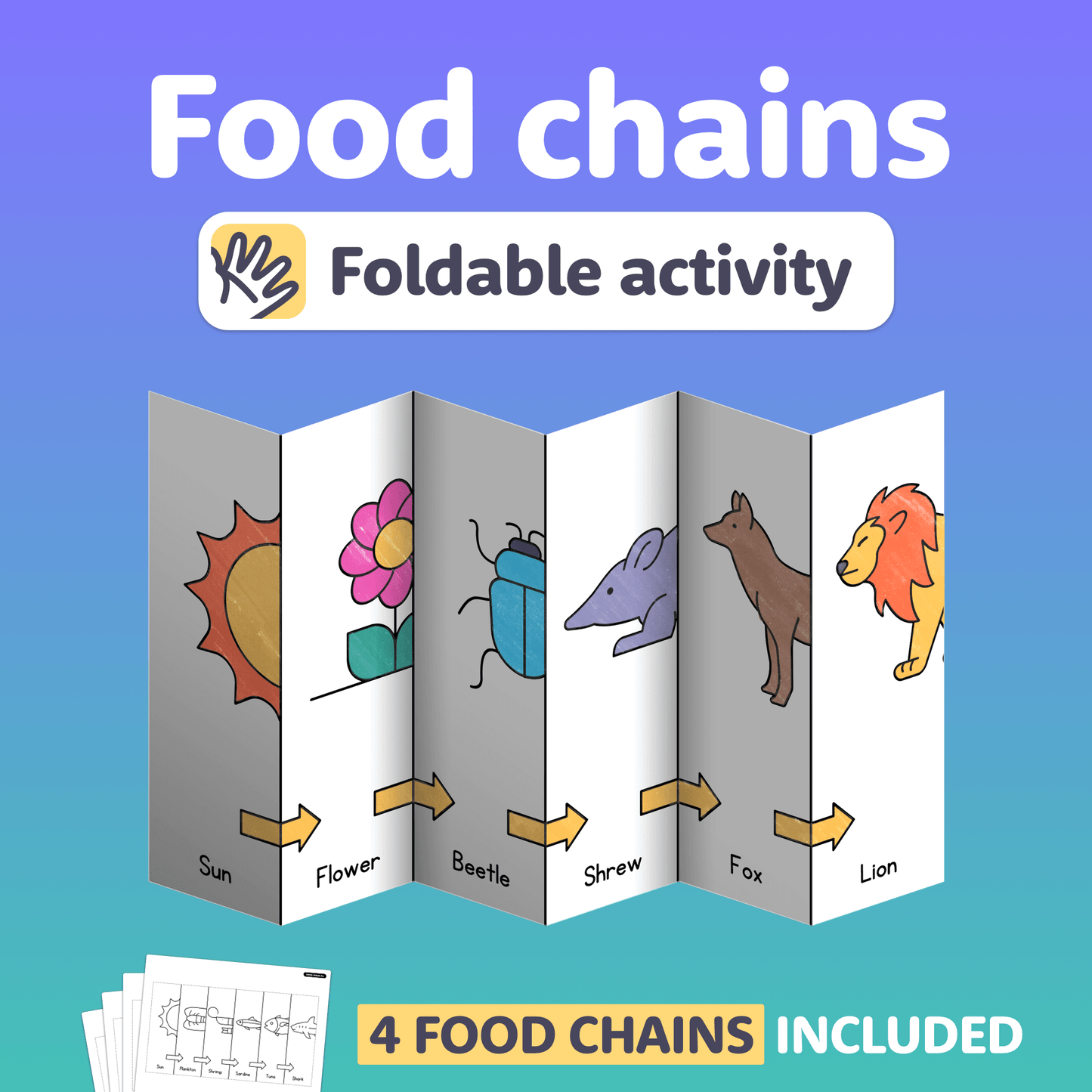 Foldable food chain display from sun to lion.