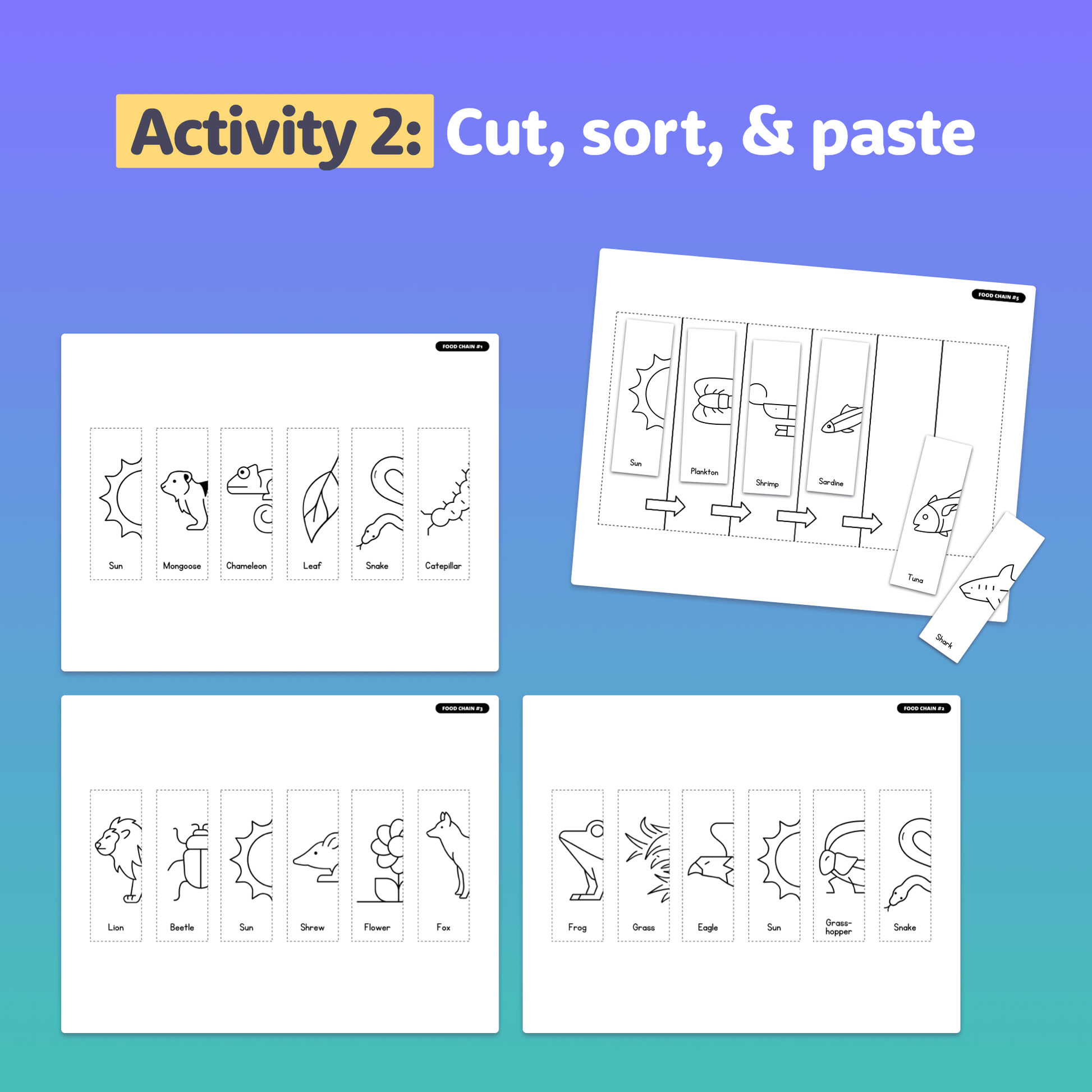 Activity 2: Instructions for assembling Food Chains Foldable Activity set.