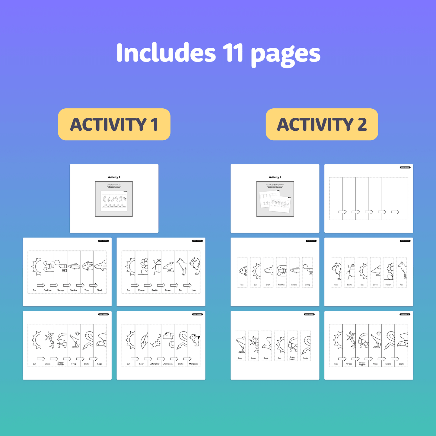 11 pages of patterns and shapes for a Food Chains foldable activity.