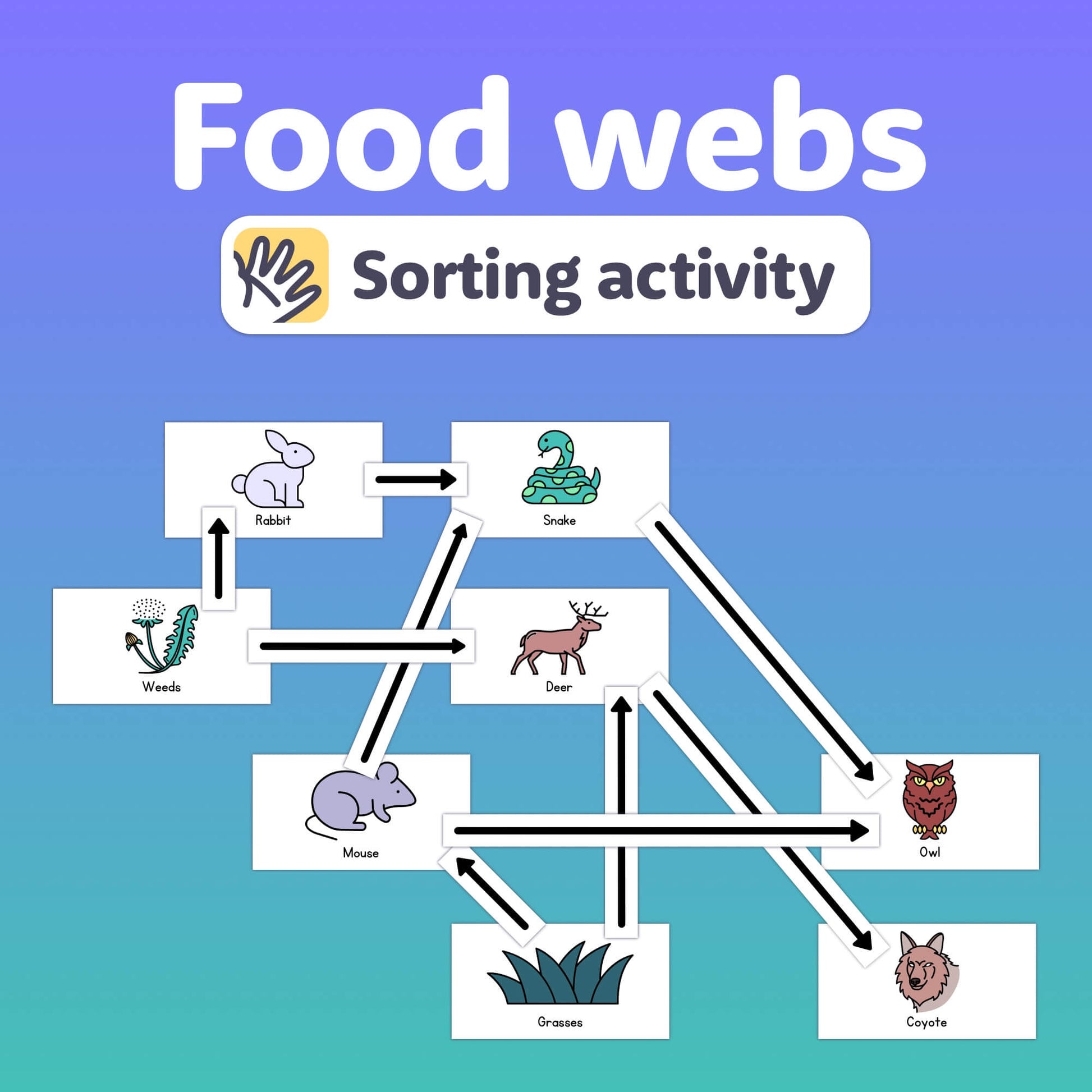 Diagram showing animals and plants for food web sorting activity.