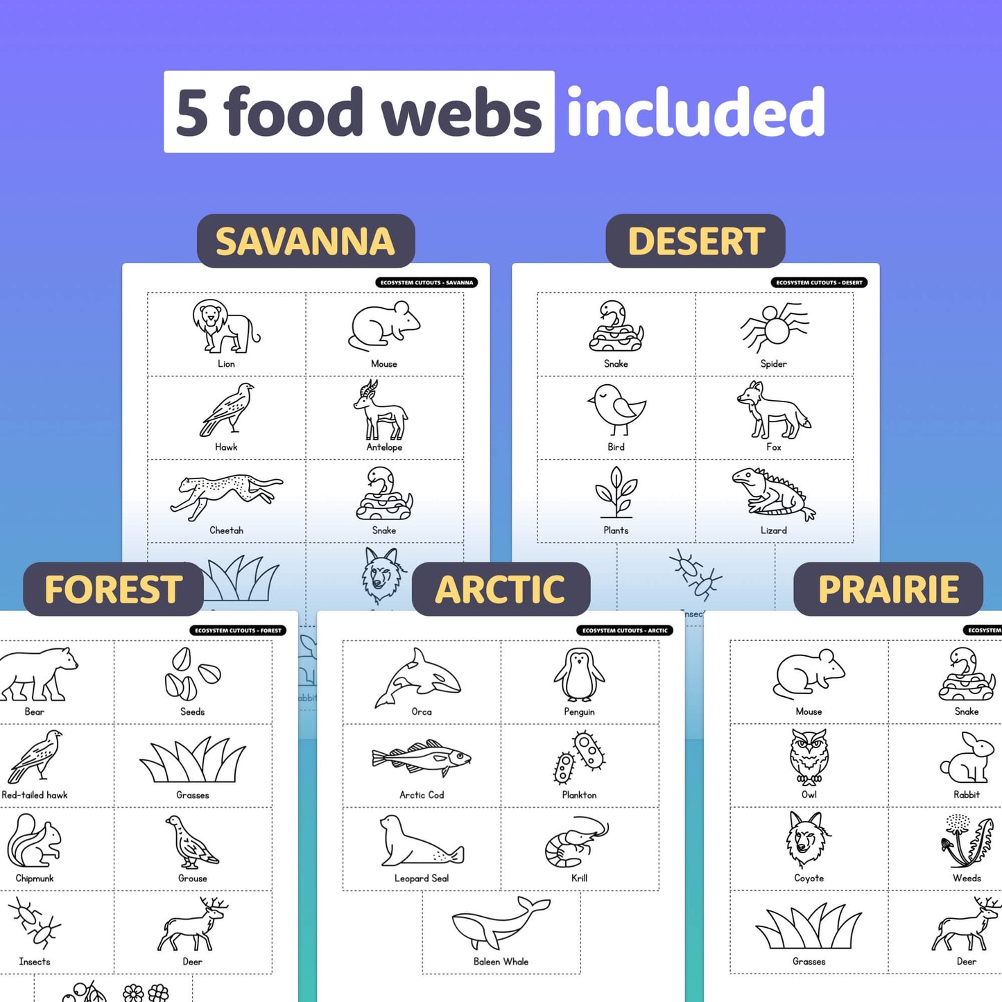 Sorting activity with food webs for Savanna, Desert, Forest, Arctic, Prairie.