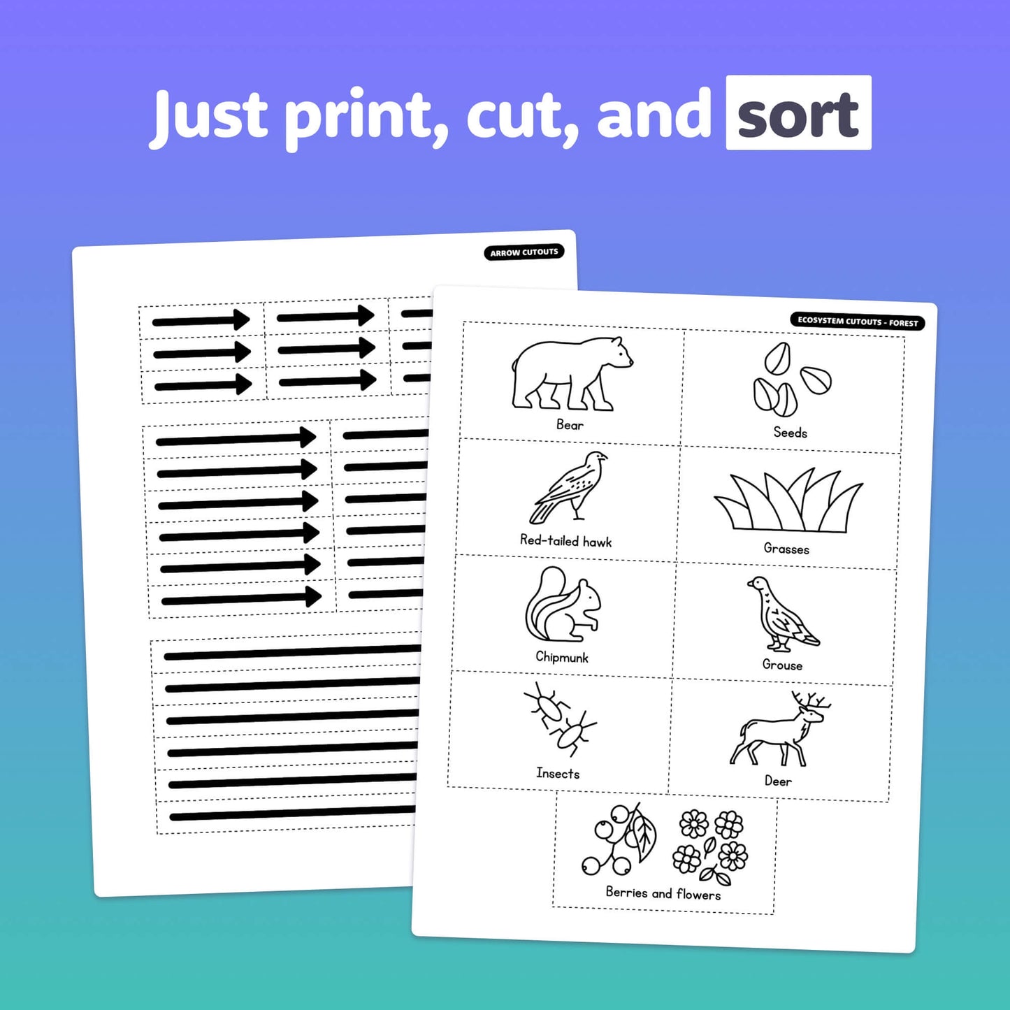 Two worksheets with sorting and tracing activities on food webs.