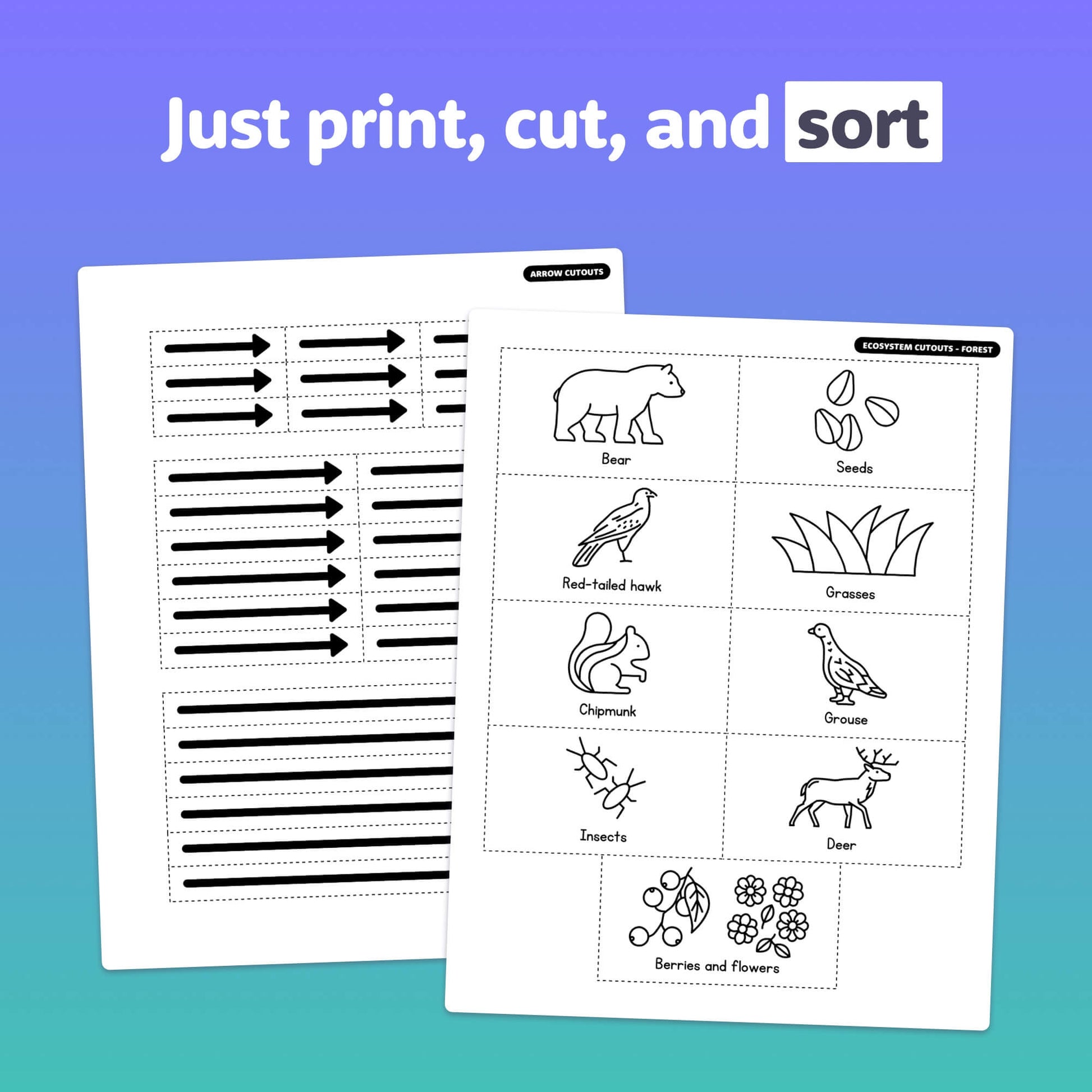 Two worksheets with sorting and tracing activities on food webs.