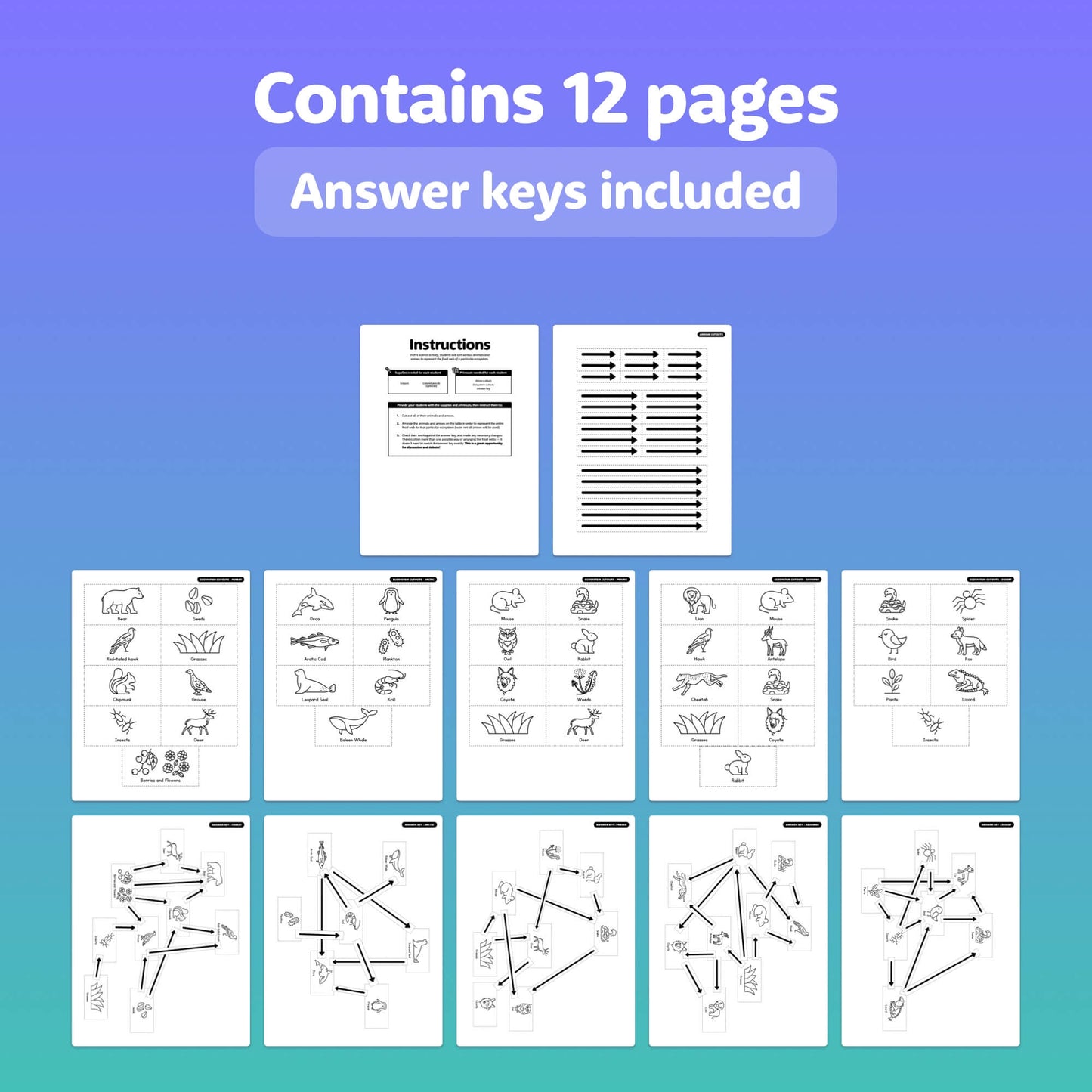 12-page Food Webs Sorting Activity with answer keys and visual puzzles.