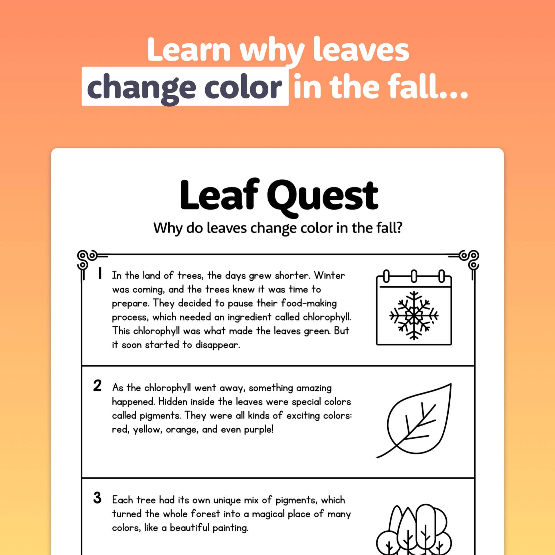 Interactive leaflet explaining why leaves change color in fall.