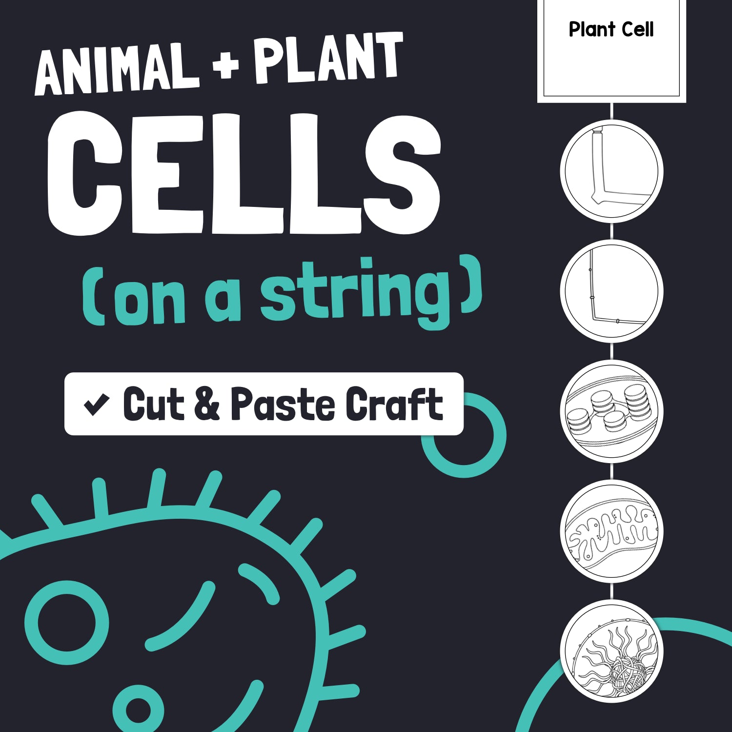 Labeled diagrams of animal and plant cells with craft cutouts.