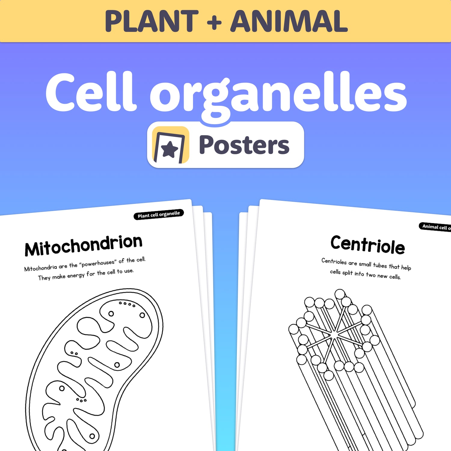 Diagrams of a mitochondrion and a centriole with labeling.
