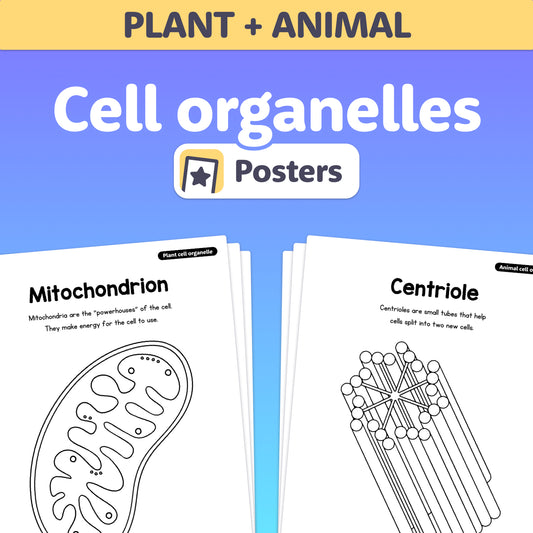 Diagrams of a mitochondrion and a centriole with labeling.