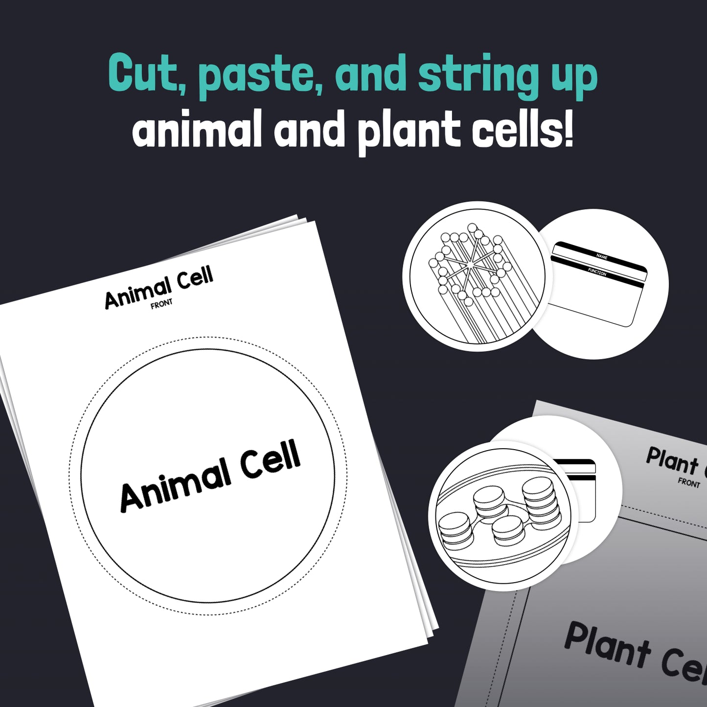 Worksheets with animal and plant cell diagrams, labels, and cutout parts.