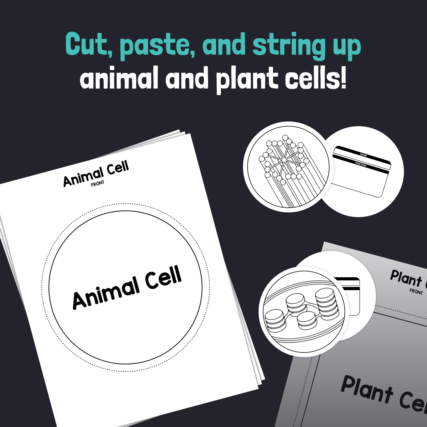 Worksheets with animal and plant cell diagrams, labels, and cutout parts.