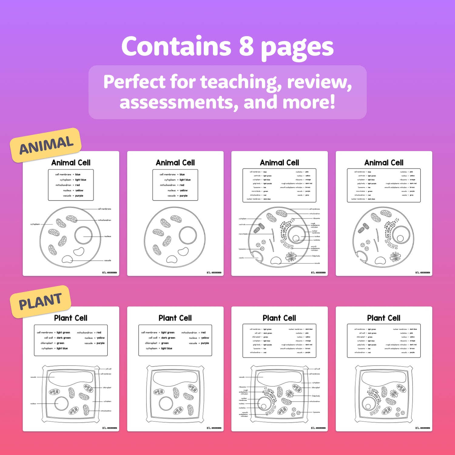 Eight labeled animal and plant cell worksheet diagrams in preview layout.