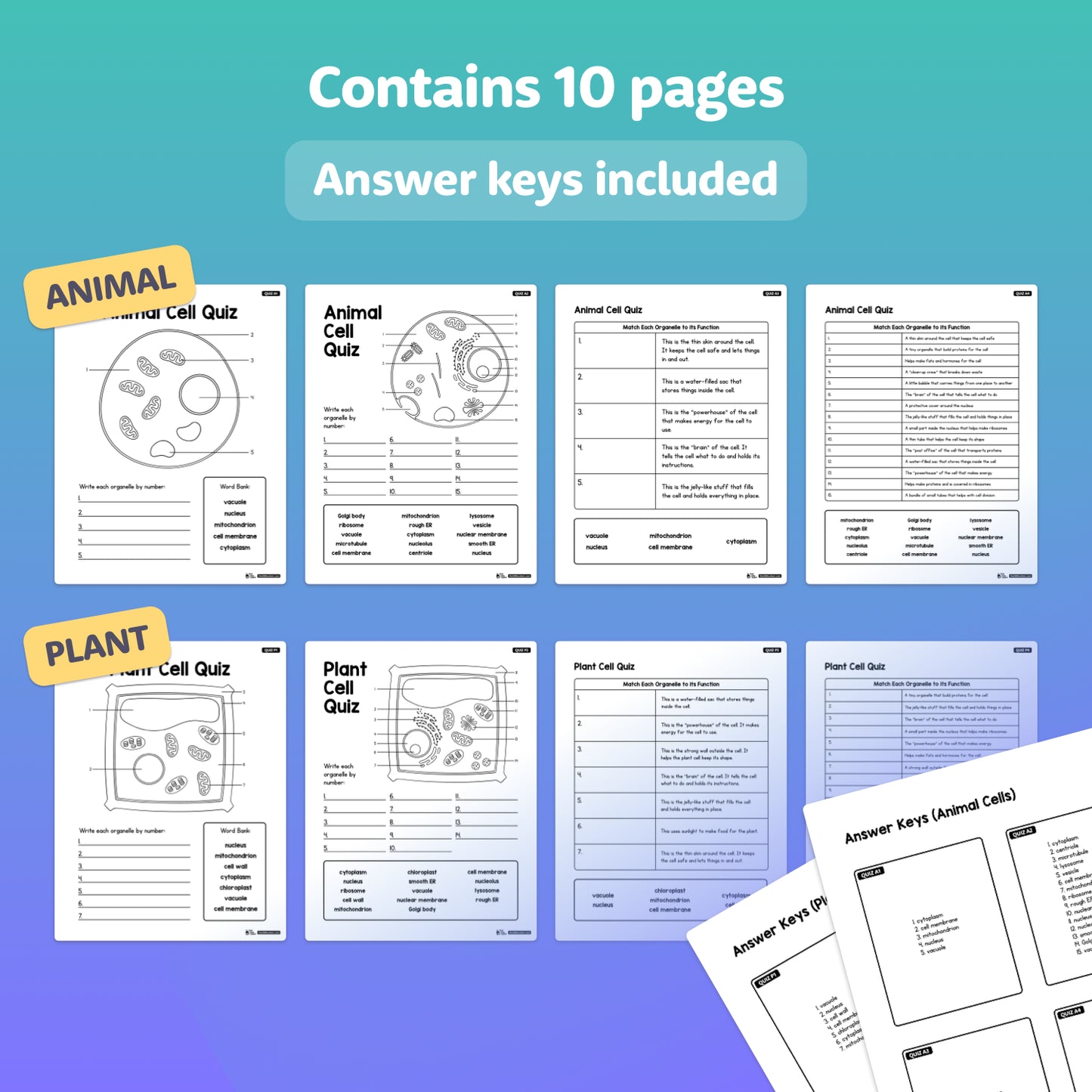 Preview of assessment worksheets and answer keys for animal and plant cells.