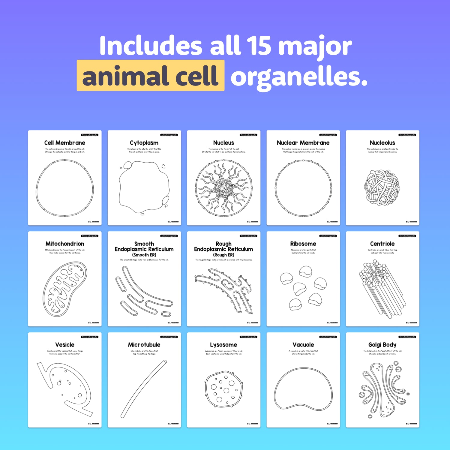 Fifteen labeled diagrams of cell organelles arranged in a neat group.