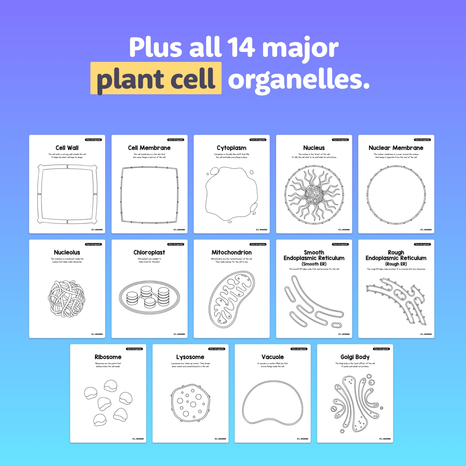 Fourteen plant cell organelles are shown with individual labeled illustrations.