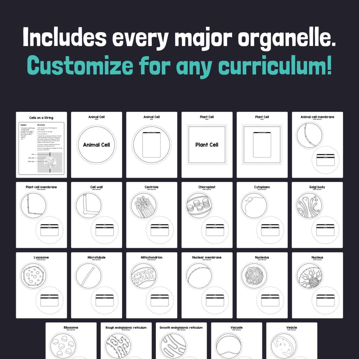 Grid diagram showing animal and plant cells with labeled organelles.
