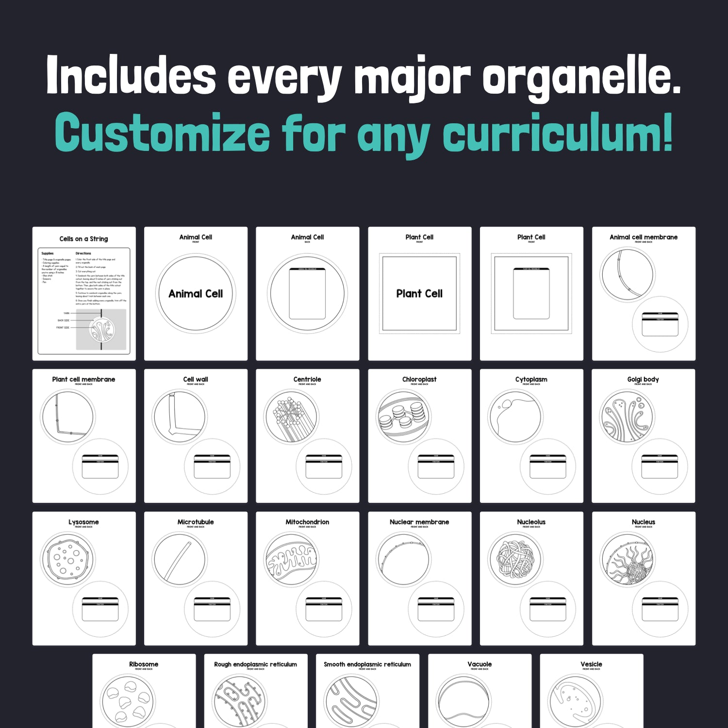 Grid diagram showing animal and plant cells with labeled organelles.