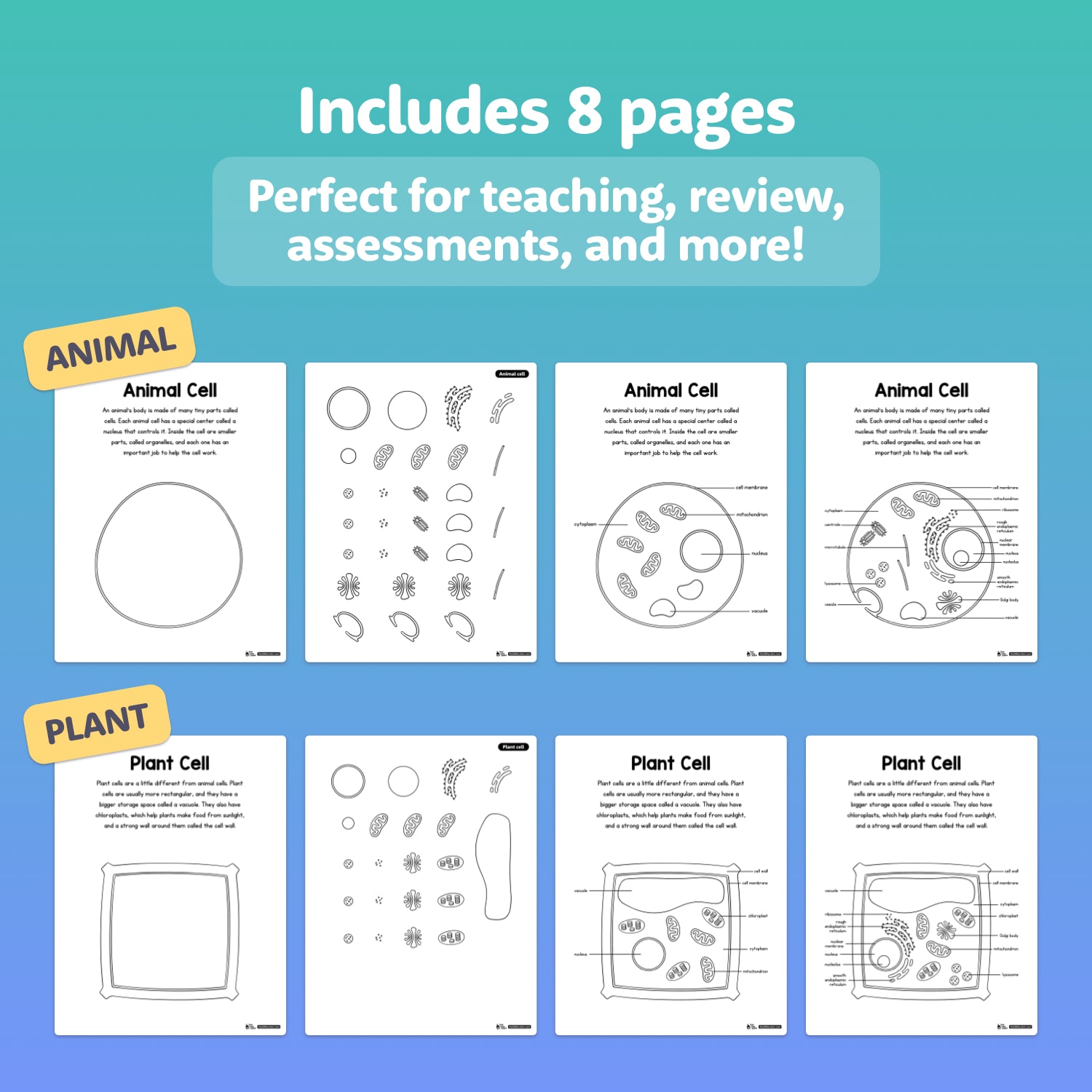 Eight editable worksheets showing diagrams of animal and plant cells.