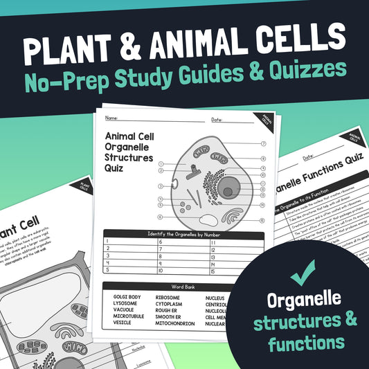 Plant and animal cells study guides, anchor charts, and assessments