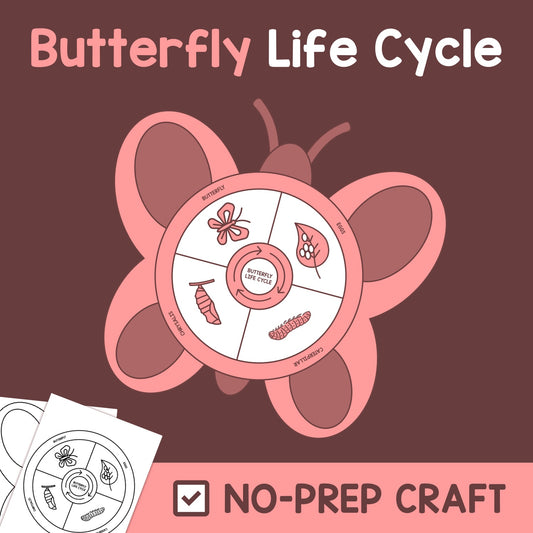 Butterfly life cycle no prep craft