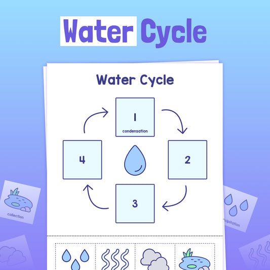 Illustration of the water cycle stages: condensation, precipitation, collection, evaporation.