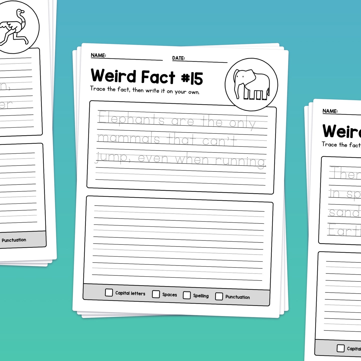 Weird Fact Handwriting Worksheets